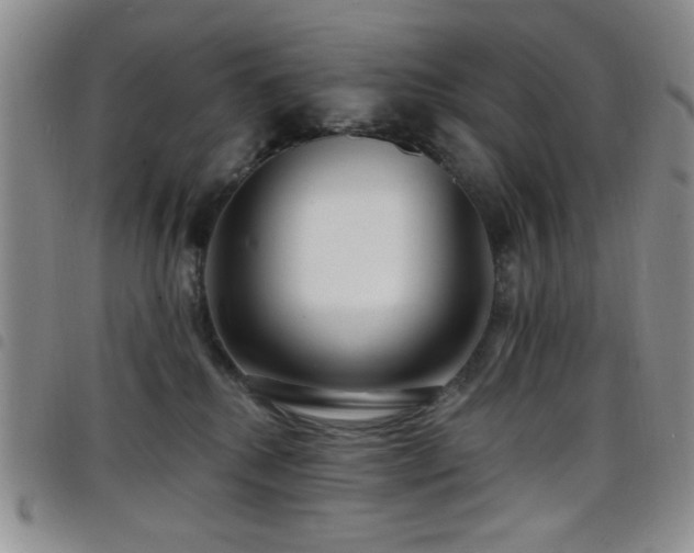 X0000098210280200804241328