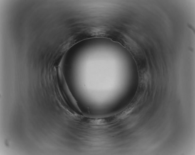 X0000098210281200804241328