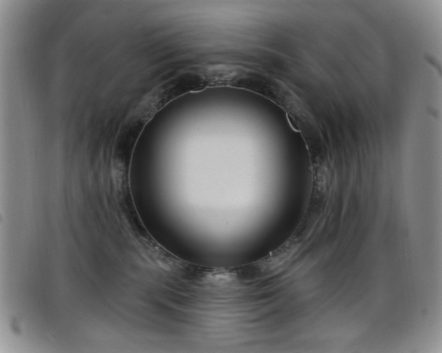 X0000098210283200804241328