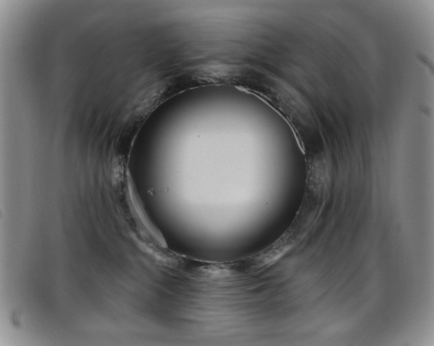 X0000098210284200804241328