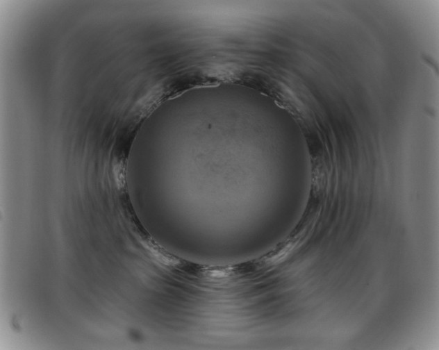 X0000098210285200804241328