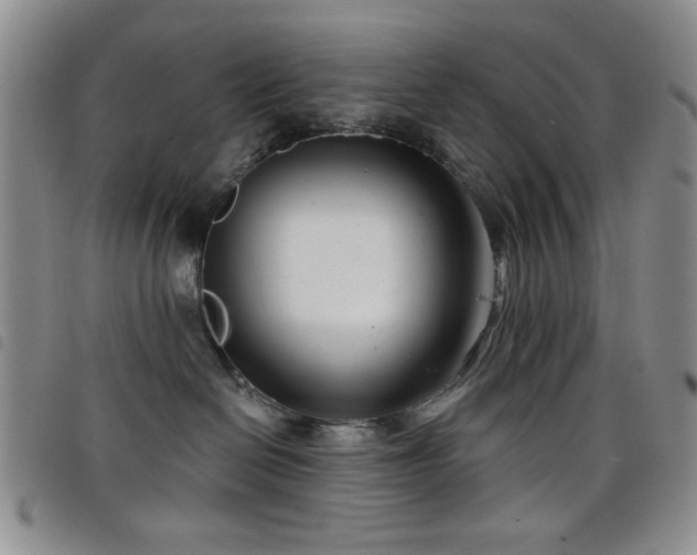 X0000098210286200804241328