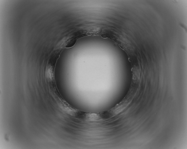 X0000098210287200804241328