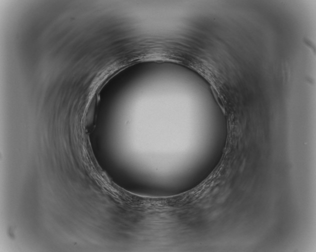 X0000098210289200804241327