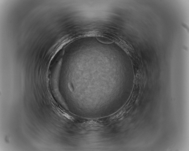 X0000098210290200804241327