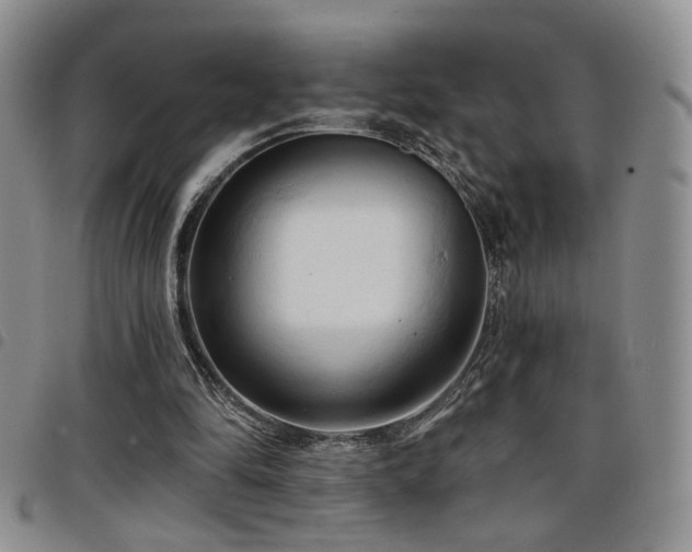 X0000098210294200804241327