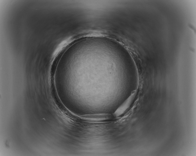 X0000098210296200804241327