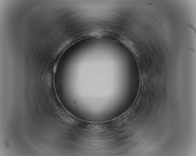 X0000098210297200804241327