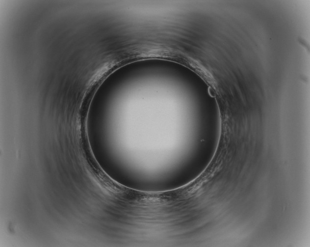 X0000098210298200804241327