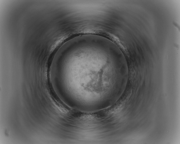 X0000098210299200804241327