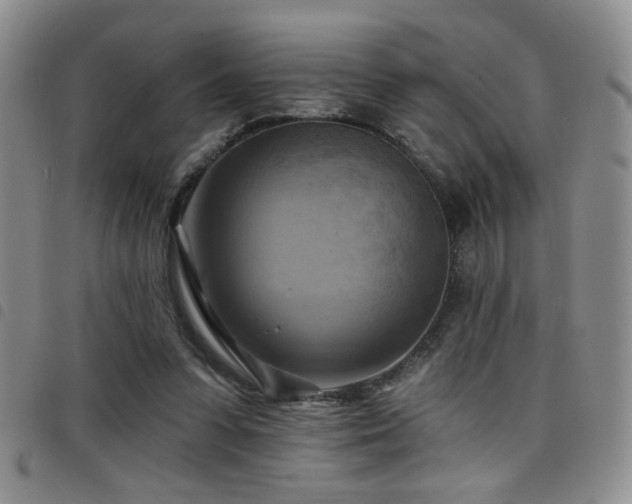 X0000098210303200804241327