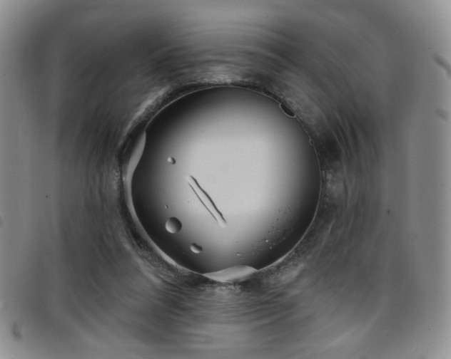 X0000098210304200804241327