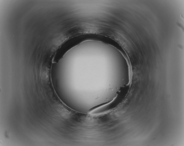 X0000098210305200804241327