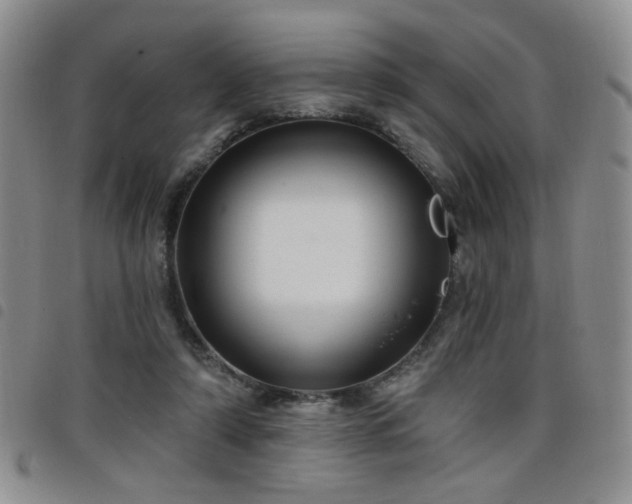 X0000098210306200804241327