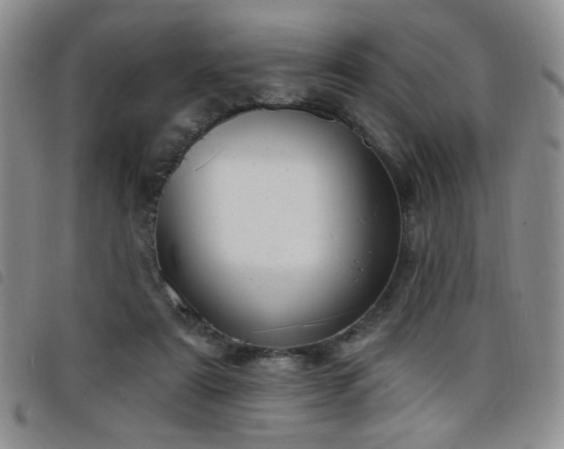 X0000098210307200804241327