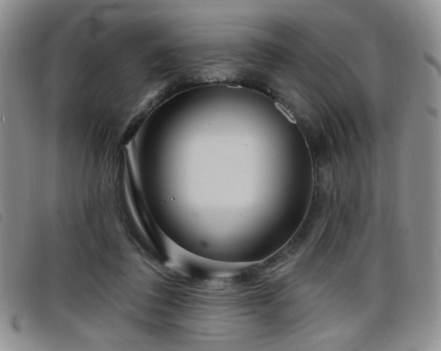 X0000098210308200804241327