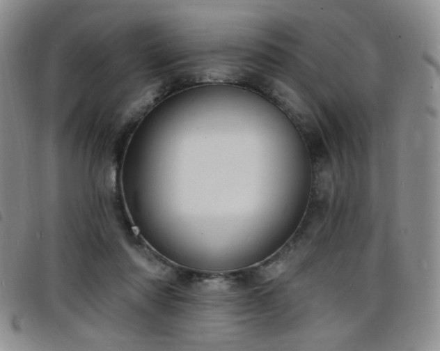 X0000098210310200804241327
