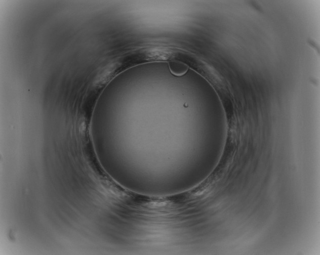 X0000098210314200804241327