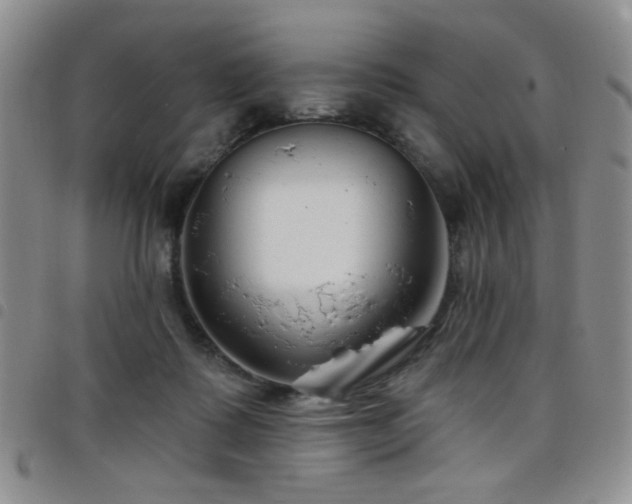 X0000098210315200804241327