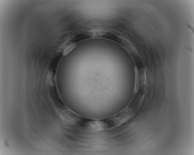 X0000098210316200804241327