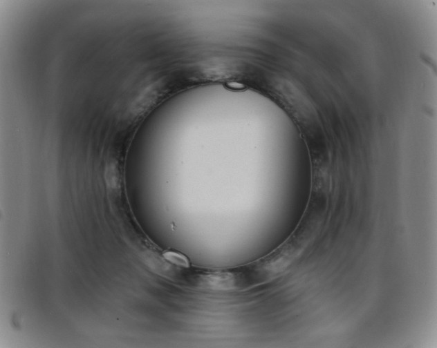 X0000098210317200804241327