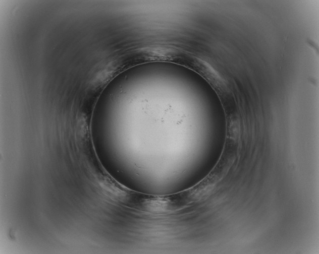 X0000098210318200804241327