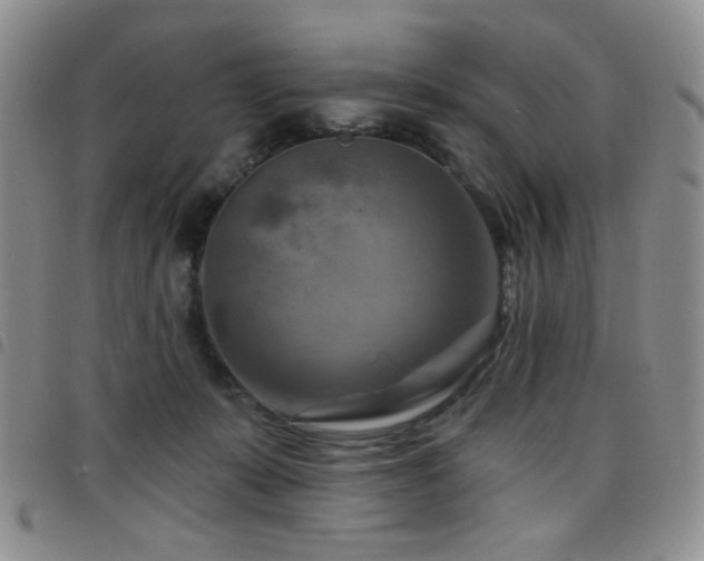 X0000098210319200804241327
