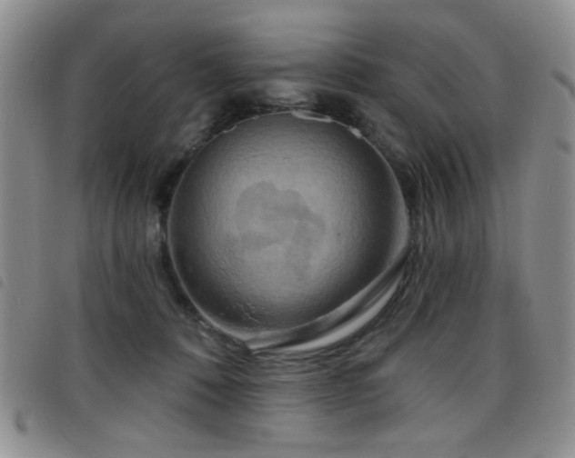 X0000098210320200804241327