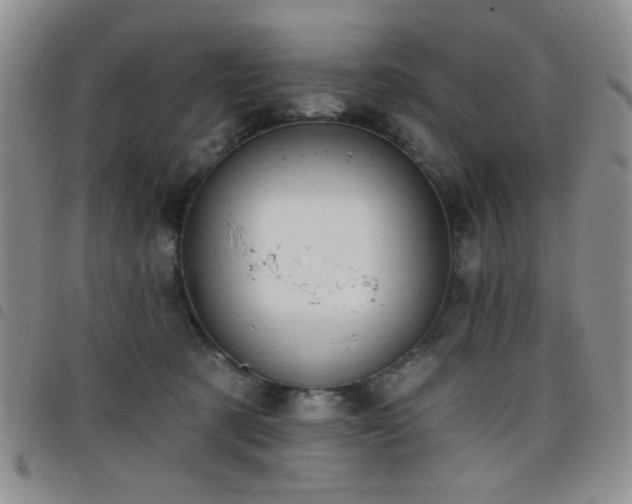 X0000098210321200804241327
