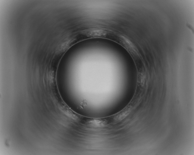 X0000098210326200804241327