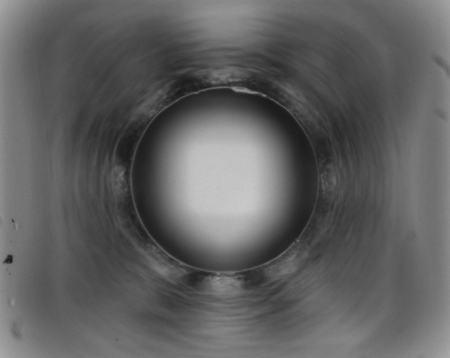 X0000098210327200804241327
