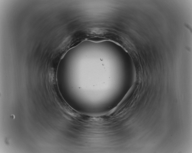 X0000098210328200804241327
