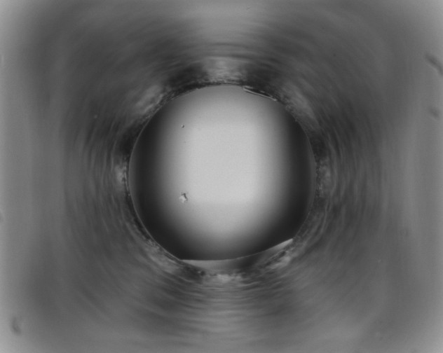 X0000098210329200804241327