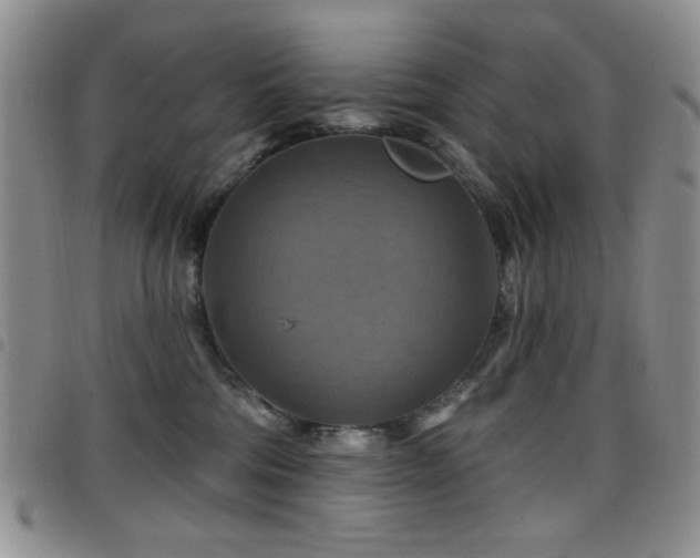 X0000098210330200804241327