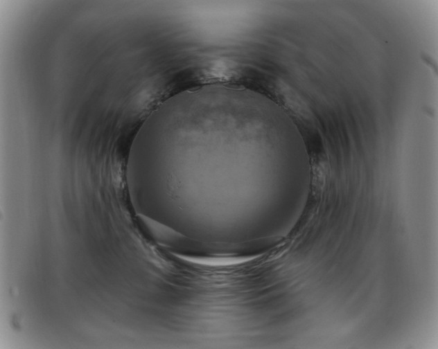 X0000098210331200804241327