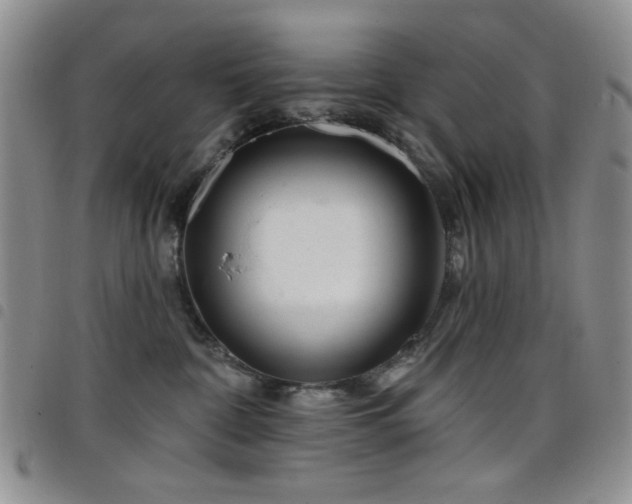 X0000098210332200804241327