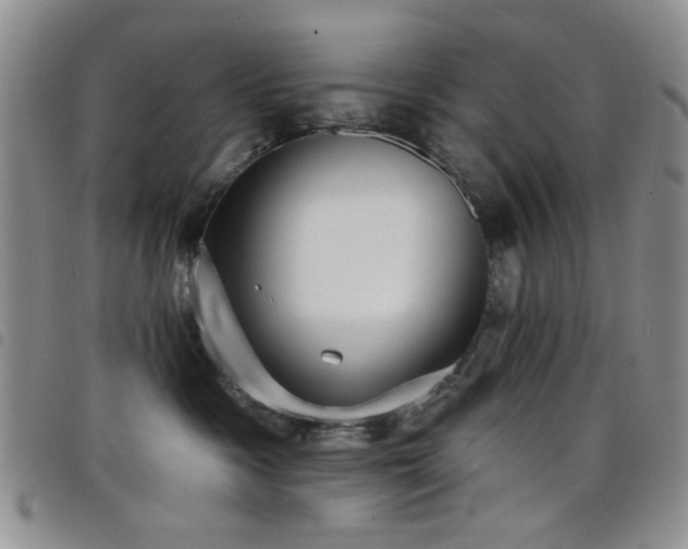 X0000098210333200804241327