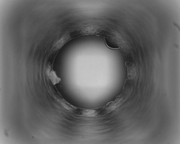 X0000098210334200804241327