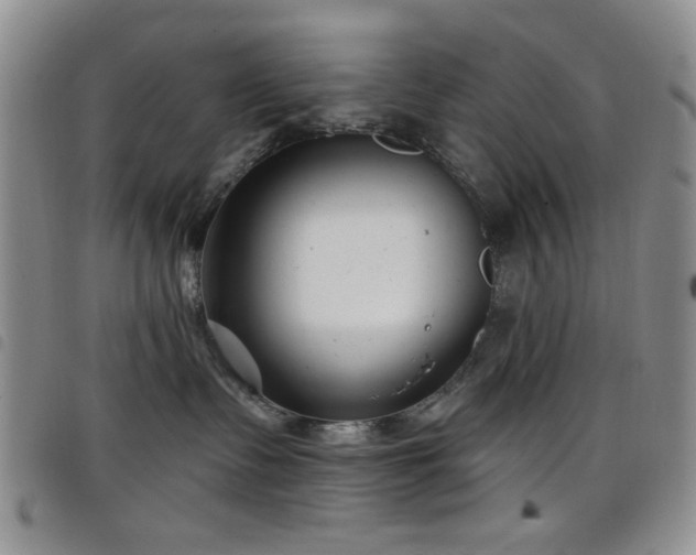 X0000098210335200804241327