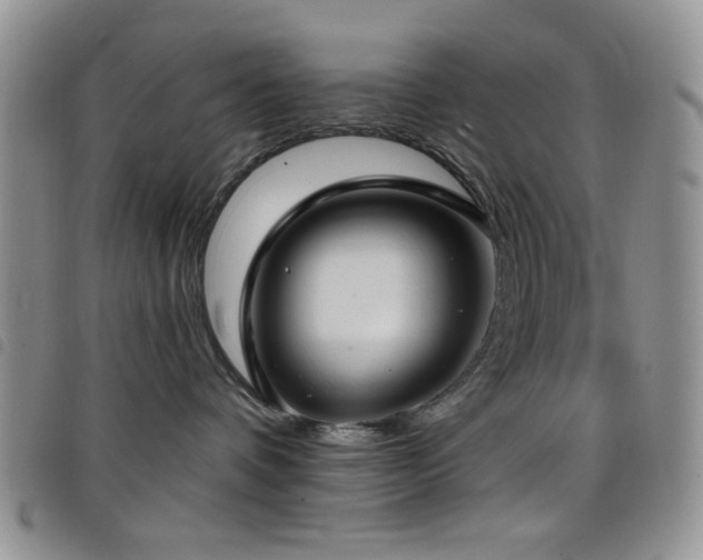 X0000098210336200804241327