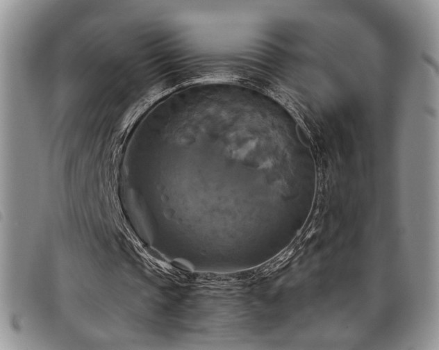X0000098210337200804241326