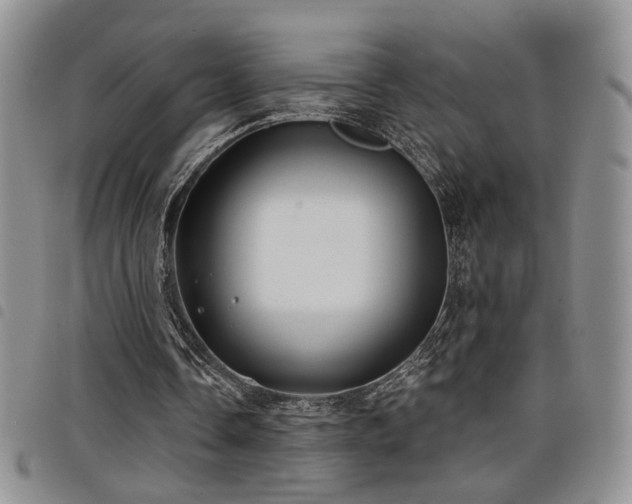 X0000098210338200804241326