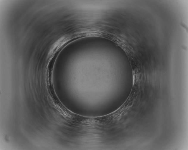 X0000098210339200804241326