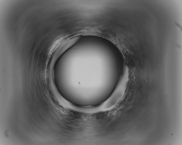 X0000098210340200804241326