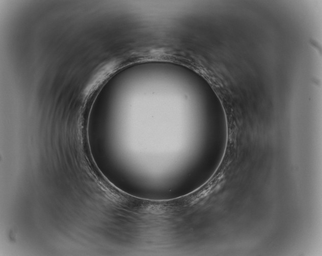 X0000098210341200804241326