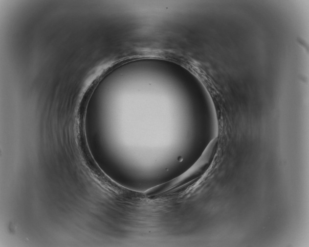 X0000098210342200804241326