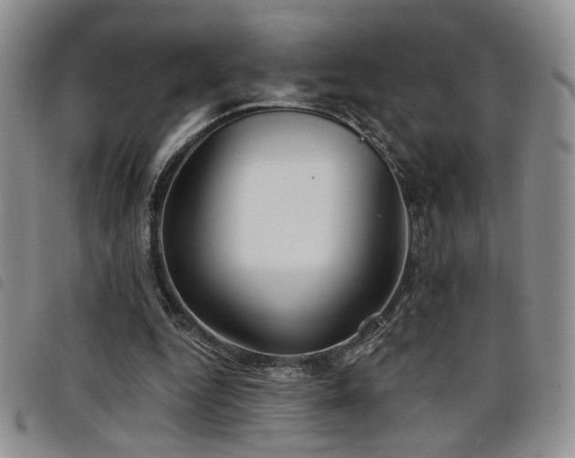 X0000098210344200804241326