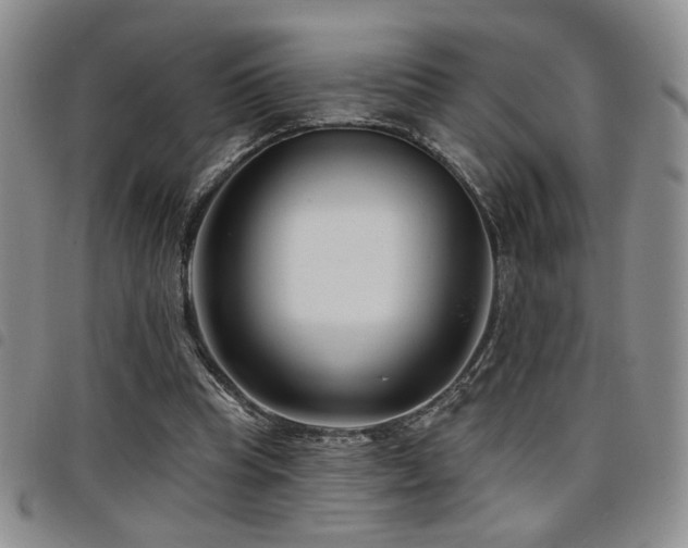 X0000098210345200804241326