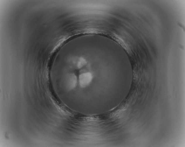 X0000098210347200804241326