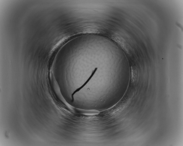 X0000098210348200804241326